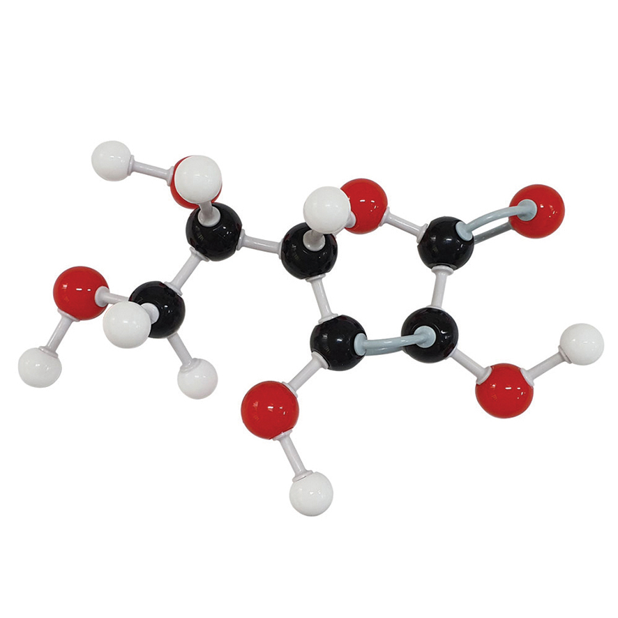아스코르브산(바이타민C) 분자구조모형조립세트(1세트)