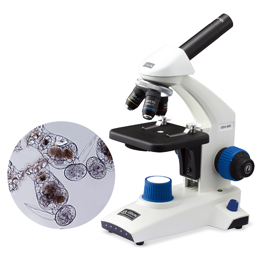 생물현미경 OSH 시리즈